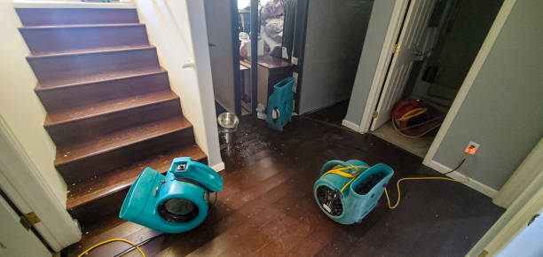 Best Flood damage cleanup  in Bridge City, LA