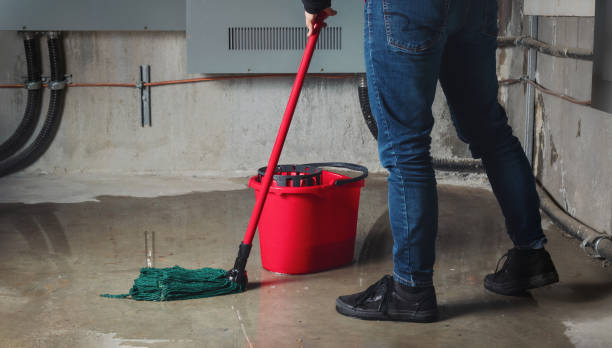 Best Mold removal after water damage  in Bridge City, LA