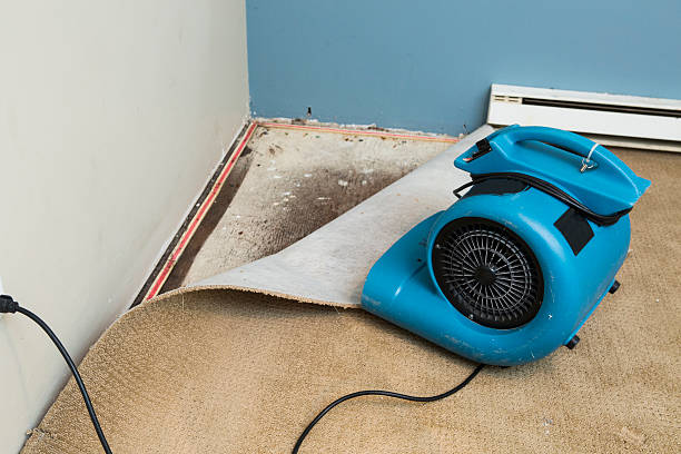 Best Local water damage restoration  in Bridge City, LA